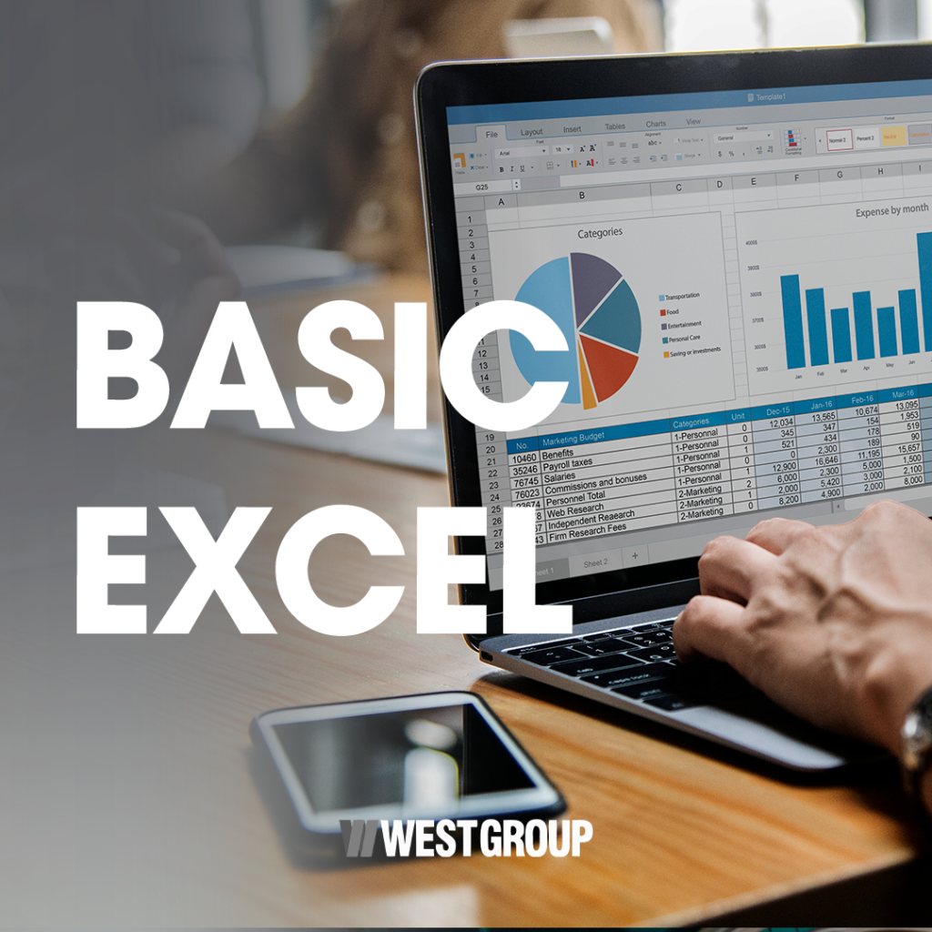 BASIC EXCEL - West Group
